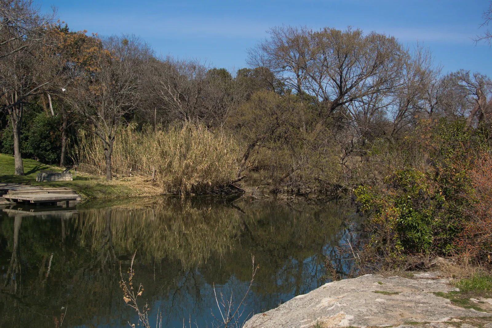Brushy Creek with a limestone ledge in the foreground and trees along the far bank