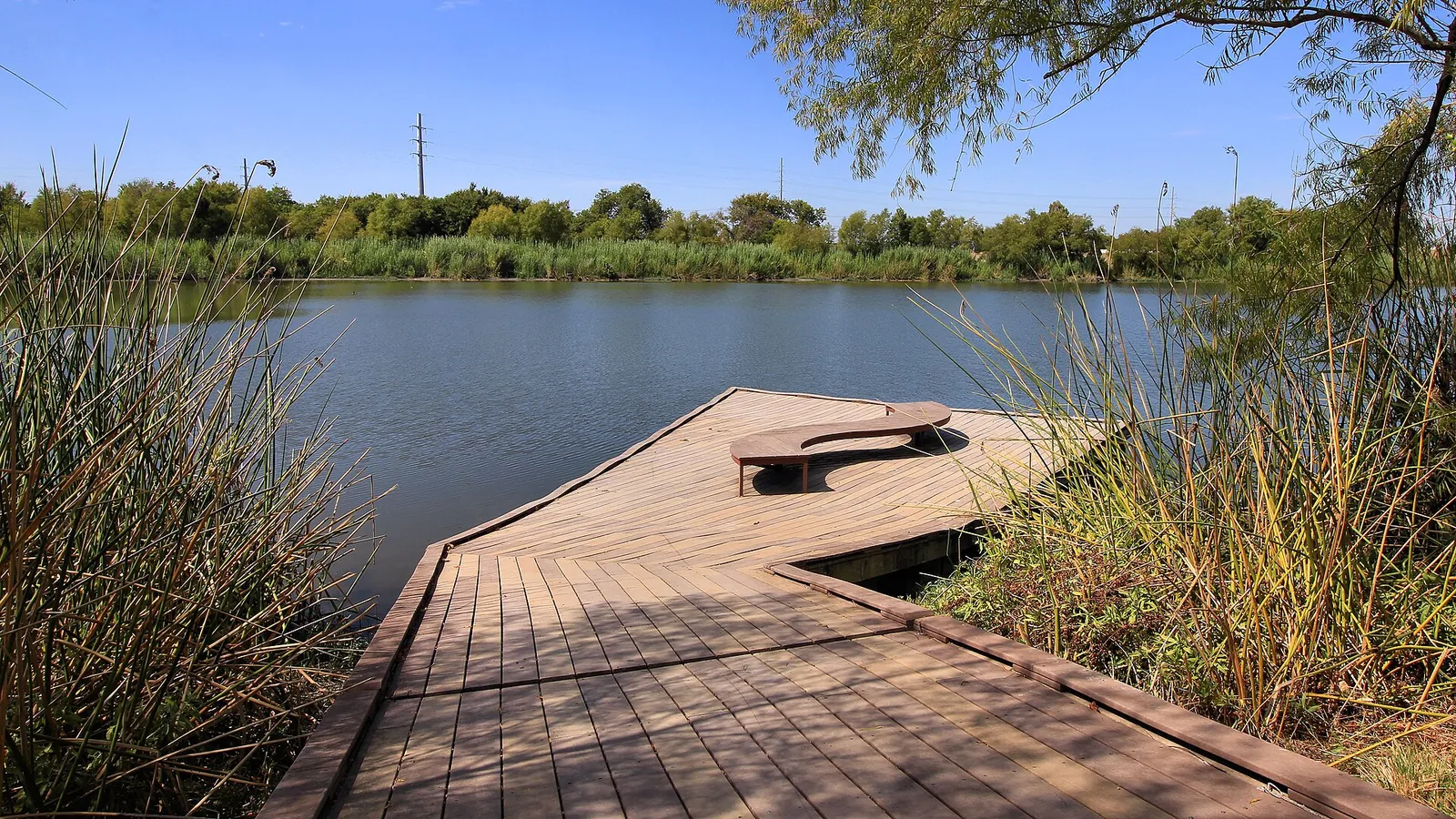Wooden fishing dock and native grasses at Hutto Lake Park